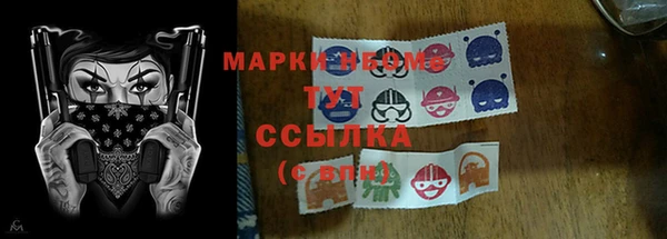 ГАЛЛЮЦИНОГЕННЫЕ ГРИБЫ Алексеевка