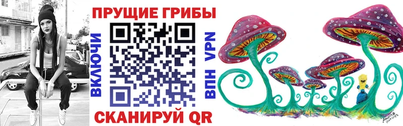 маркетплейс Telegram  Кыштым  Псилоцибиновые грибы GOLDEN TEACHER  купить наркоту 
